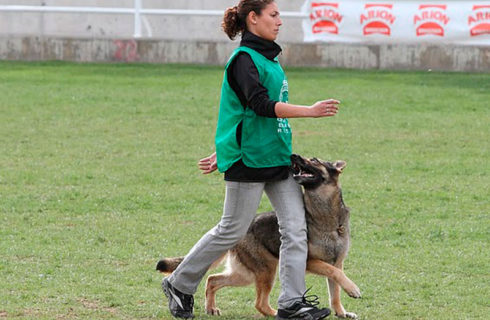 Practicando Obediencia Canina